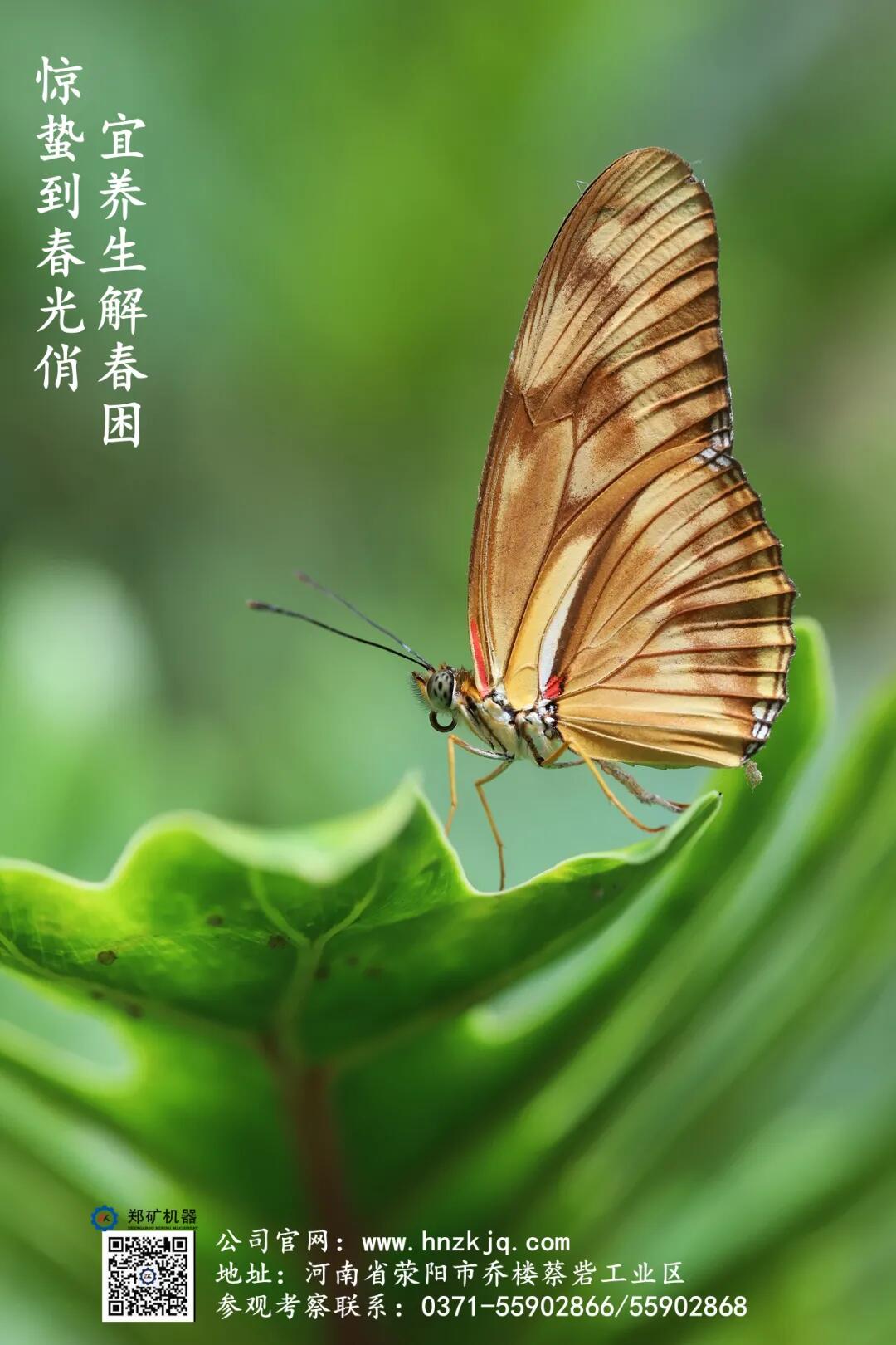 QQ圖片20210308134642.jpg